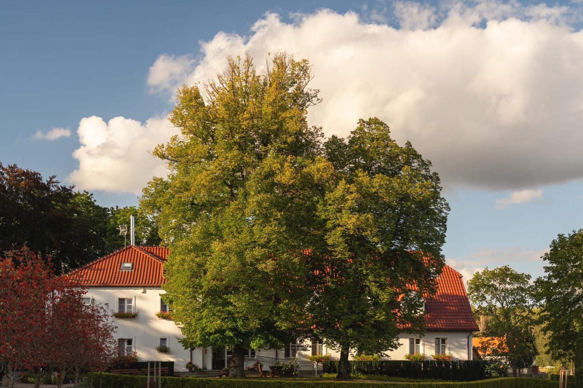 Stary Mlyn Strzeszyn Hotel Lubowo  Exterior photo